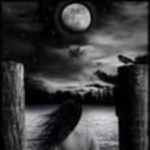 Meet your Posher, Marty